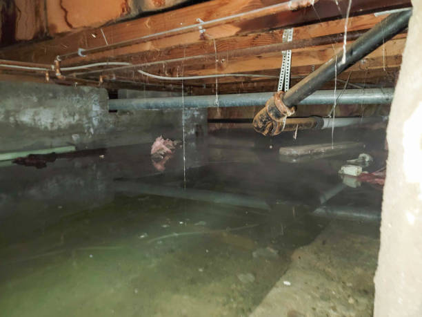 Carpet water damage restoration in Harrisburg, SD