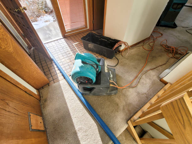 Best Sewage cleanup and water damage restoration  in Harrisburg, SD