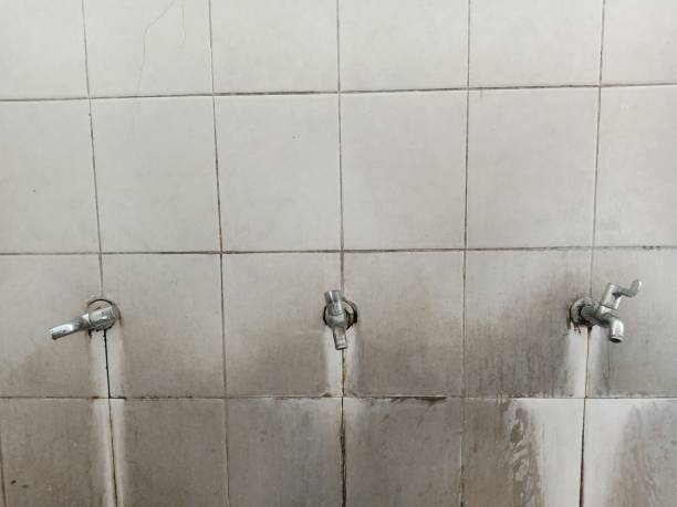 Best Flood restoration services  in Harrisburg, SD